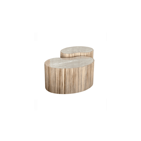 Salontafels Reni Boon Vorm 70x46x36 + 54x37x41cm Set/2