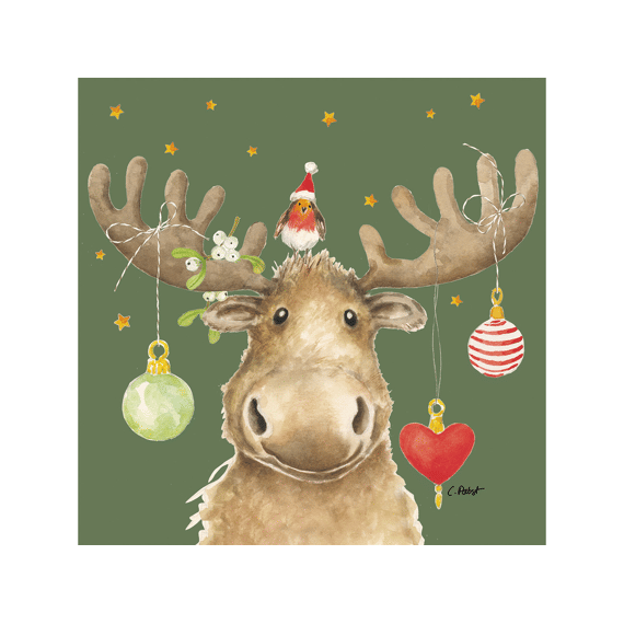 Ppd Servetten 33cm 20stuks Elmo Green