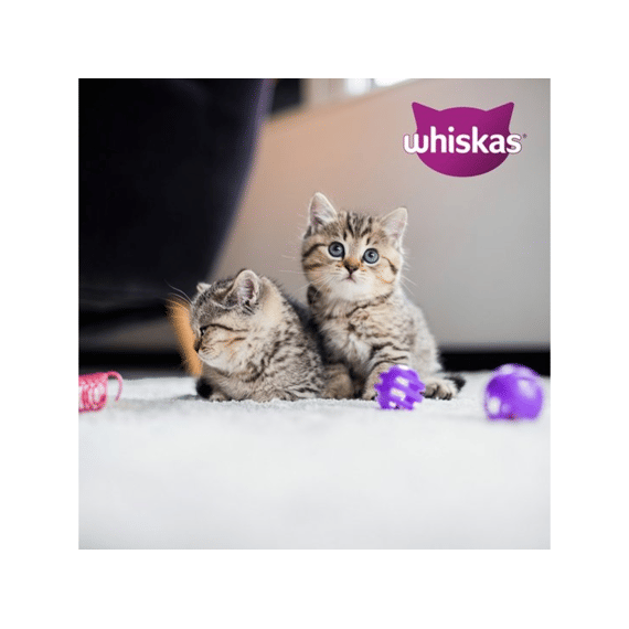 Wiskas Pouch Jun Gevogelte 40x85g