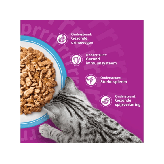 Whiskas Pouch 40x85g Classic 7+