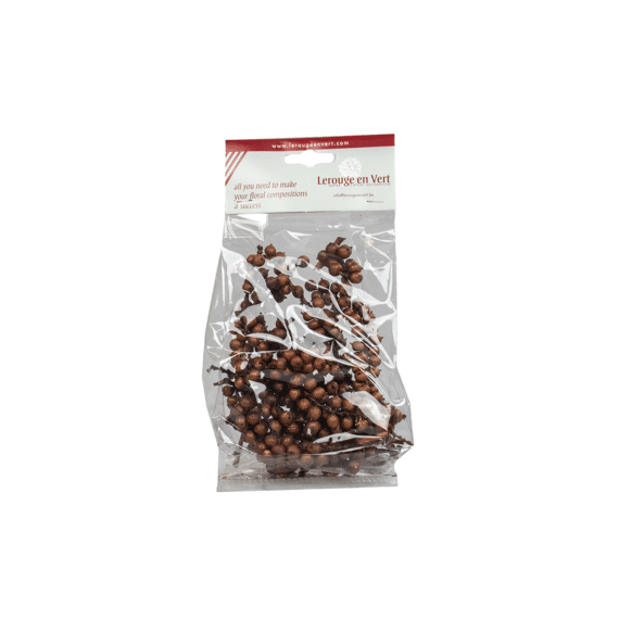 Cannella Big Choco 50gr