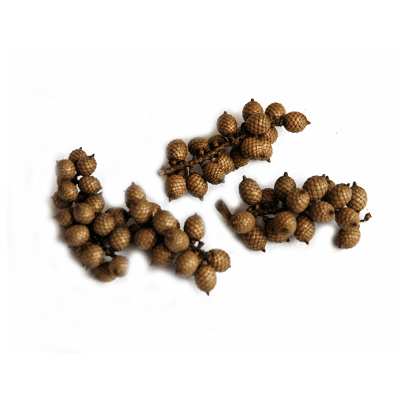 Cannella Big Choco 50gr