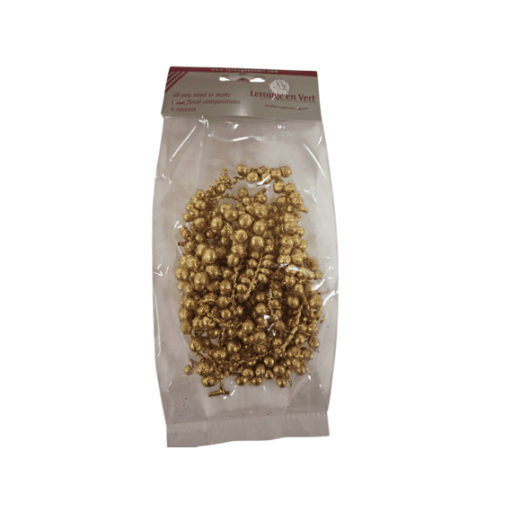 Cannella Big Goud 50gr
