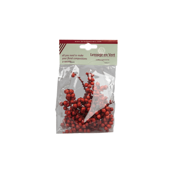 Cannella Big Rood 50gr