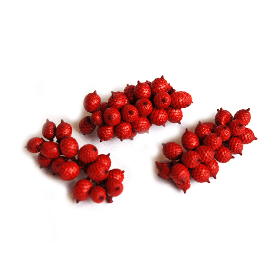 Cannella Big Rood 50gr