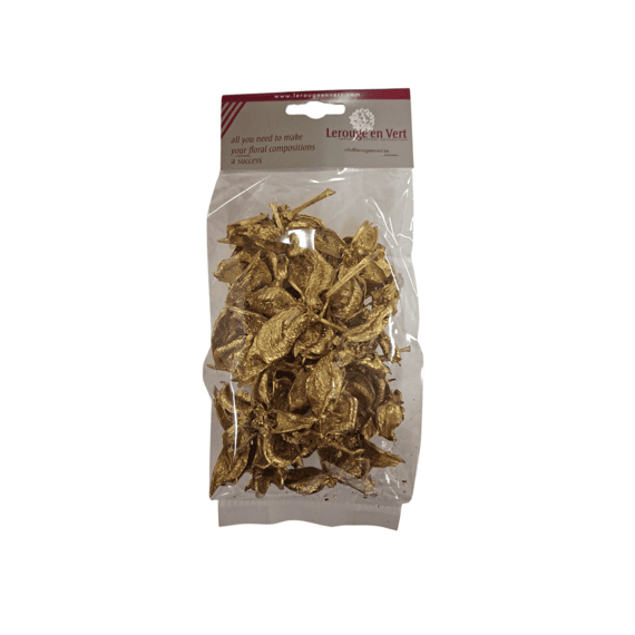 Cotton Pod 60gr Goud