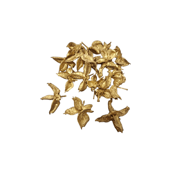 Cotton Pod 60gr Goud