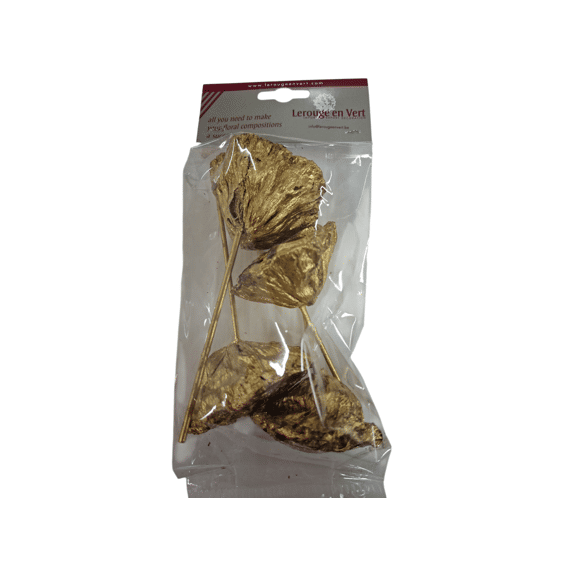 Lotus 5-7cm O/s Goud - 4st
