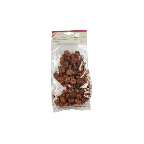 Putka Pod Oranje 40gr