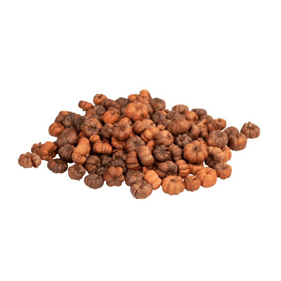 Putka Pod Oranje 40gr