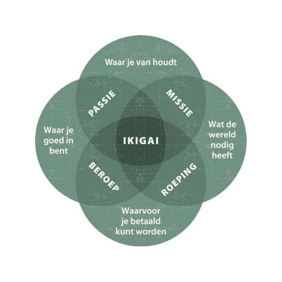 Francesc Miralles - Ikigai En Je Werk