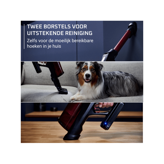 Rowenta Rh9a55e0 X-force Flex 13.60 Steelstofzuiger