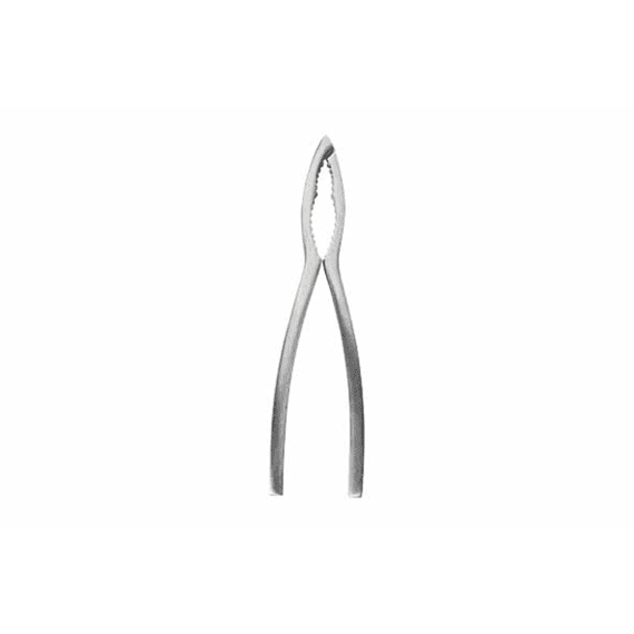 Crafts La Maree Kreeftentang 15,7cm