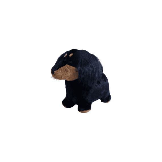Wild And Soft Bouncy Springdier Sausage Dog