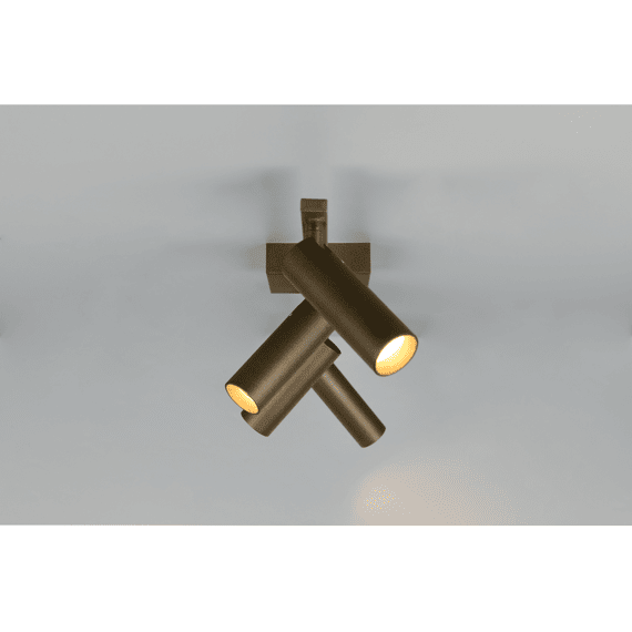Trio Spotlamp Dara Metaal Platina