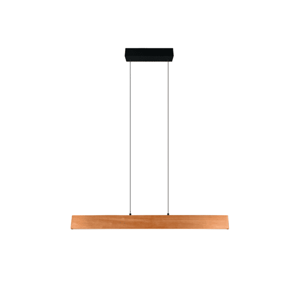 Trio Hanglamp Edgewood Metaal Mat Zwart