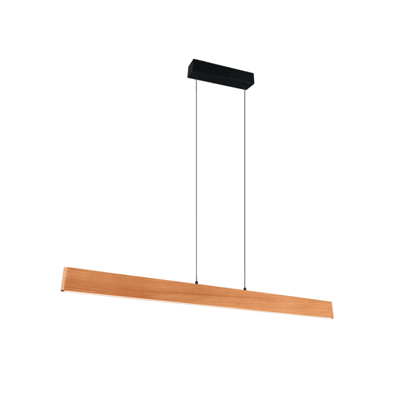 Trio Hanglamp Edgewood Metaal Mat Zwart