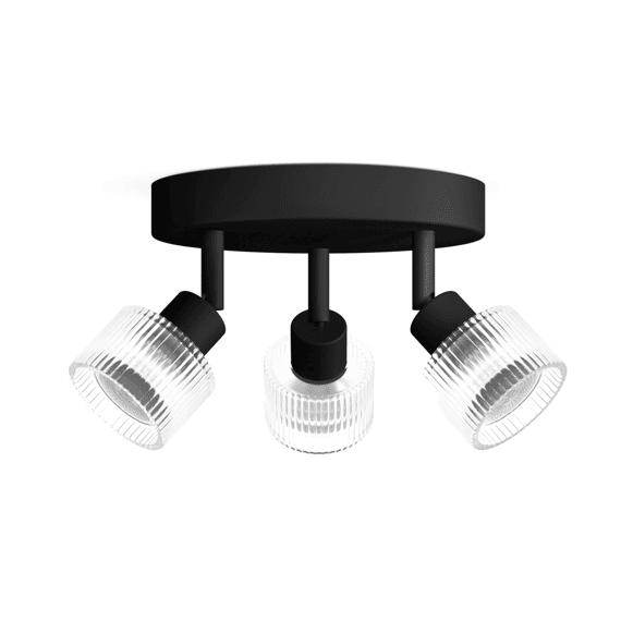 Philips Horen Spot 3x5w Plate Bl Hv