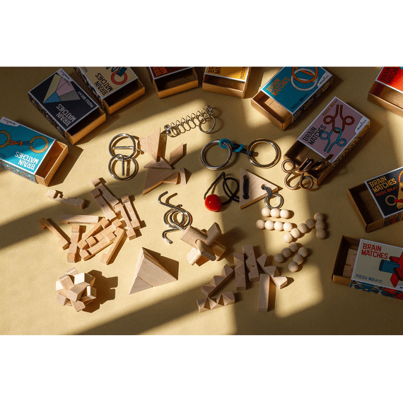 Recent Toys Brain Matches