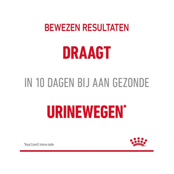Royal Canin Natvoer Kat Urinary Care in Gravy 12 x 85 g