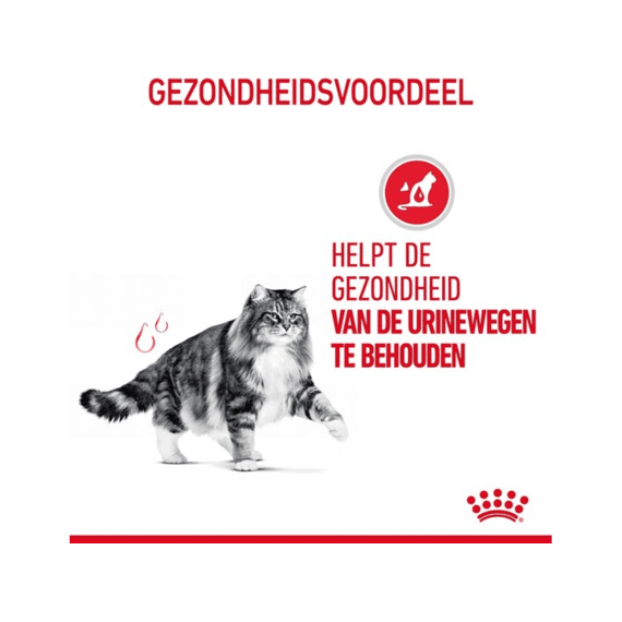 Royal Canin Natvoer Kat Urinary Care in Gravy 12 x 85 g