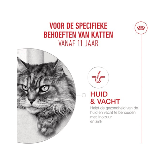 Royal Canin Ageing 11+ in Gravy Natvoer Kat 12 x 85 g