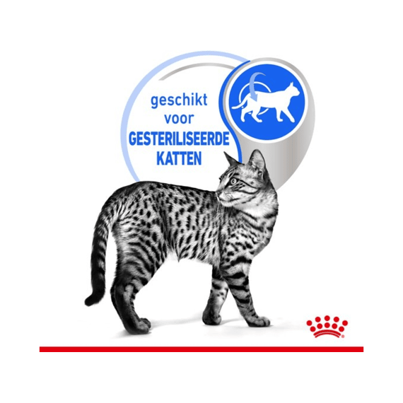 Royal Canin Indoor in Gravy Natvoer Kat 12 x 85 g