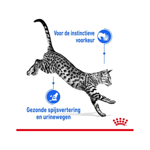 Royal Canin Indoor in Gravy Natvoer Kat 12 x 85 g
