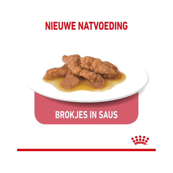 Royal Canin Indoor in Gravy Natvoer Kat 12 x 85 g