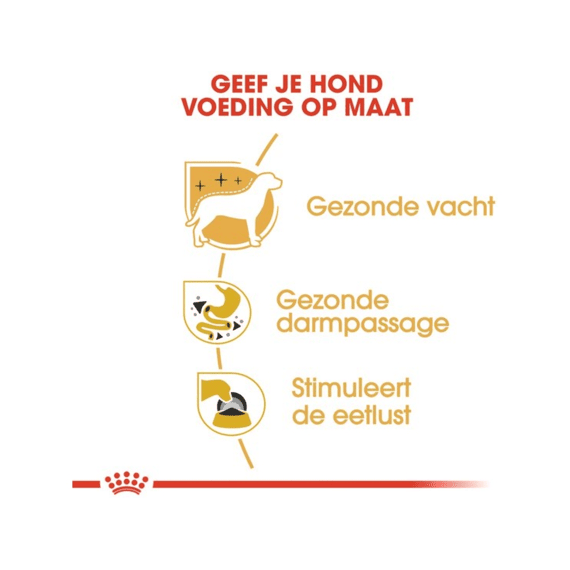 Royal Canin Natvoer Hond Chihuahua Adult in Loaf 12 x 85 g