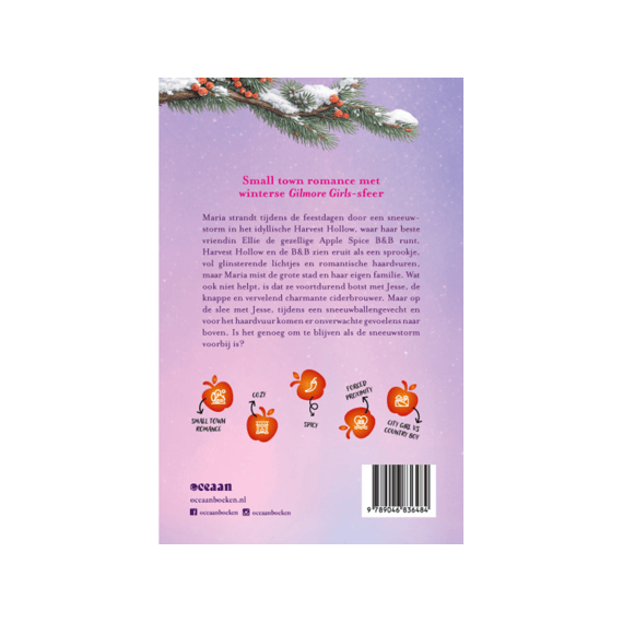 Valerie Bowman - Ingesneeuwd In De Apple Spice B&b