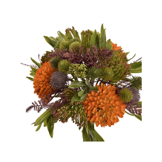 Dahlia Thistle Bundle 35cm Orange