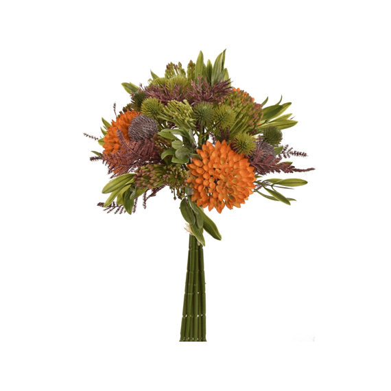 Dahlia Thistle Bundle 35cm Orange