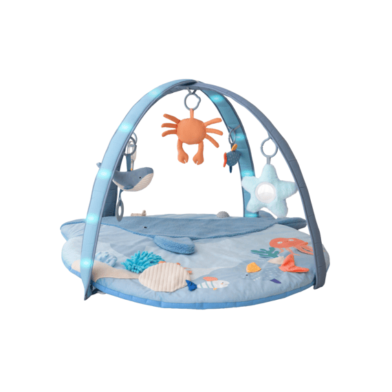 Bo Jungle Bay Musical En Light Play Gym Little Whale