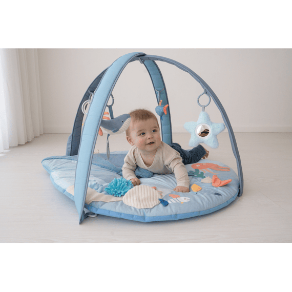 Bo Jungle Bay Musical En Light Play Gym Little Whale