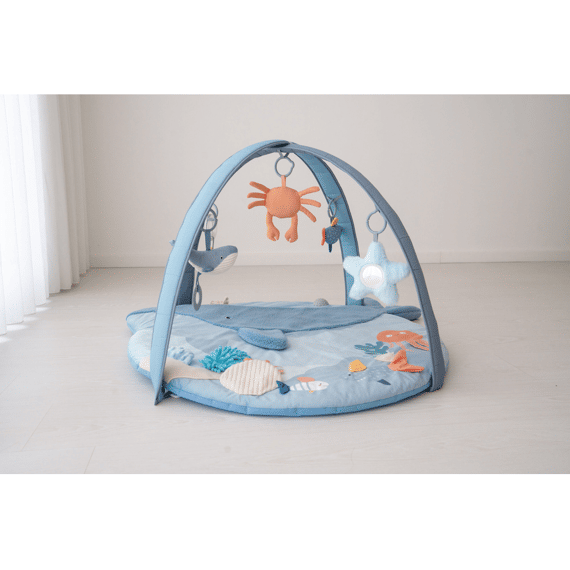 Bo Jungle Bay Musical En Light Play Gym Little Whale