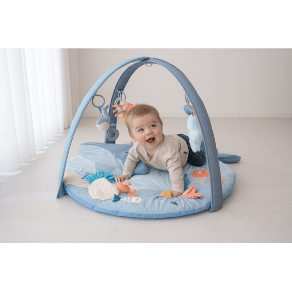 Bo Jungle Bay Musical En Light Play Gym Little Whale