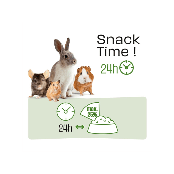 Puur Snack Muesli 600g