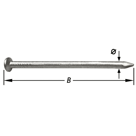 Ijzeren Nagels Platte Kop 1,4X30M