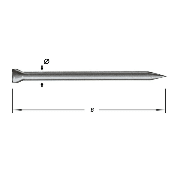 Ijzeren Nagels Ronde Kop 2,8X60M (type 1)