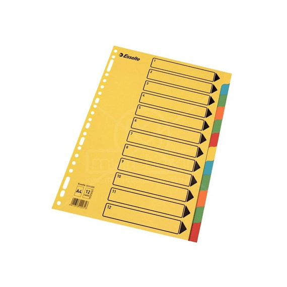 Index Karton 12 Tabs Felle Kleuren