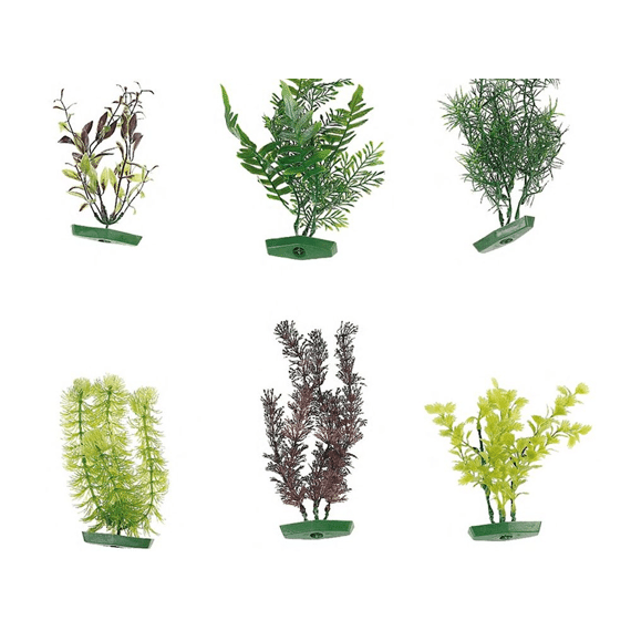 Aq.Plant Assortiment M