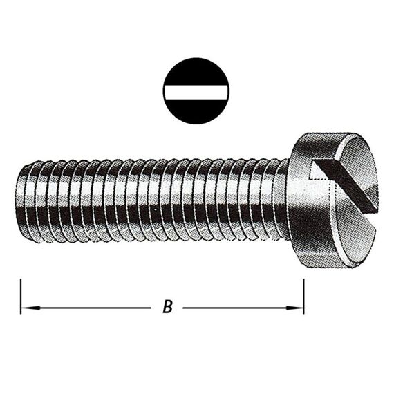 Metaalbouten Cil.Kop M.Moer M6X30Mm