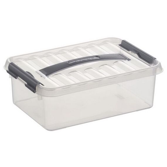 Q-Line Opbergbox Medium 4 L Transparant