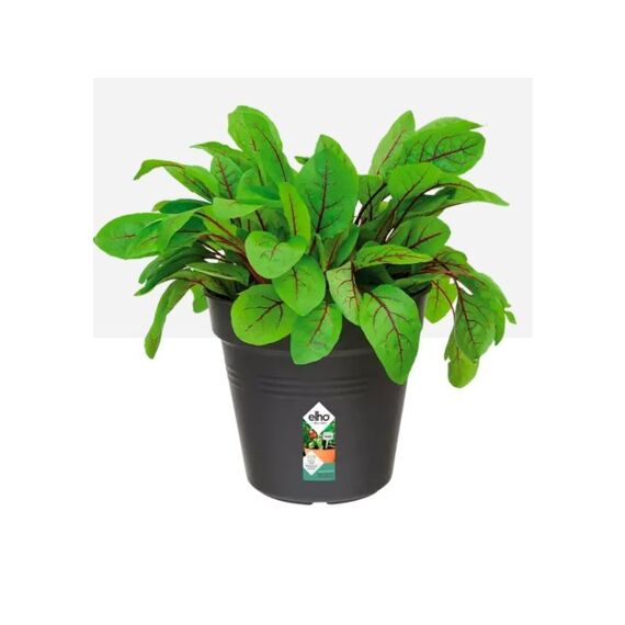 Elho Growing Pot Riviera 13 Cm Black