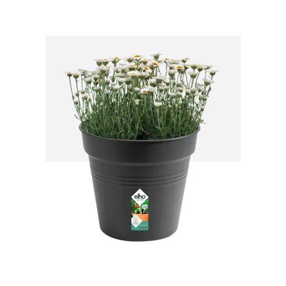 Elho Growing Pot Riviera 15 Cm Black