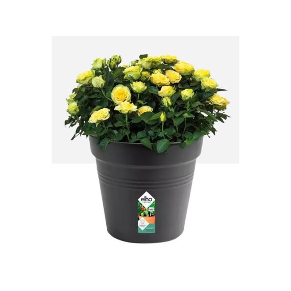 Elho Growing Pot Riviera 27 Cm Black