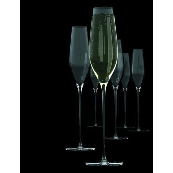 S&P Champagneflute 21 Cl Cuvee Set 6 Stuks