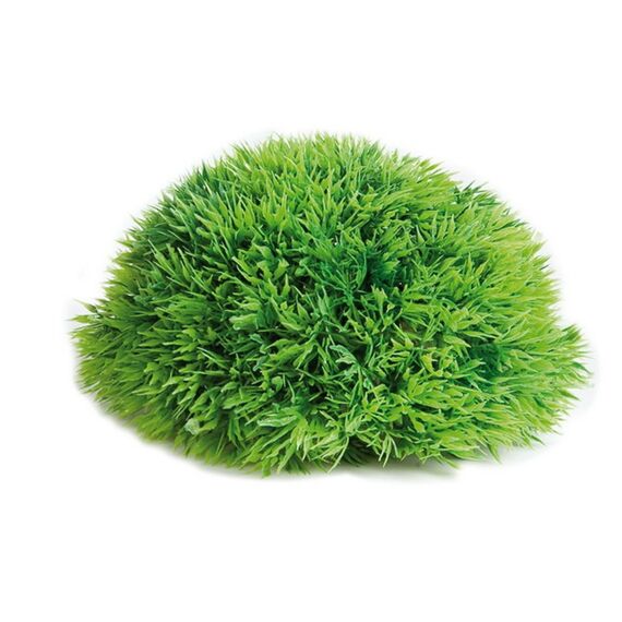 Aquarium plant halve mosplant 17cm
