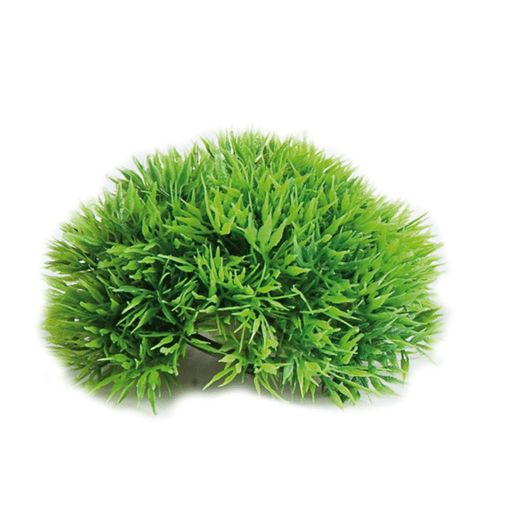Aq Plant Halve Mosbal 12Cm